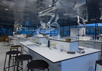 Strengthening The University Through STEM Excellence